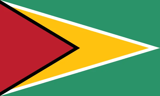 Flag of Guyana